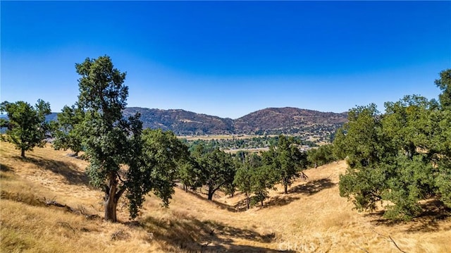 314 Rolling Oak Dr, Tehachapi, CA 93561 - photo 1