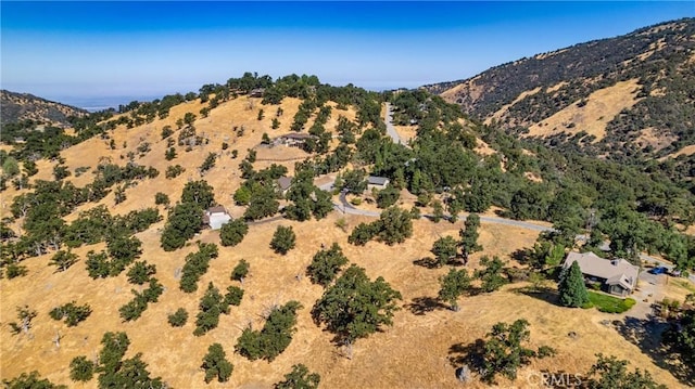 314 Rolling Oak Dr, Tehachapi, CA 93561 - photo 7