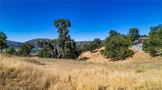 314 Rolling Oak Dr, Tehachapi, CA 93561 - photo 2