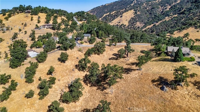 314 Rolling Oak Dr, Tehachapi, CA 93561 - photo 5