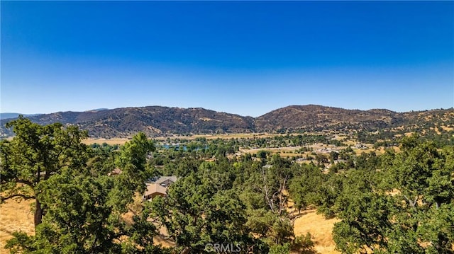 314 Rolling Oak Dr, Tehachapi, CA 93561 - photo 3