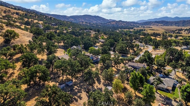 24550 Willow Pass Dr, Tehachapi, CA 93561 - photo 67