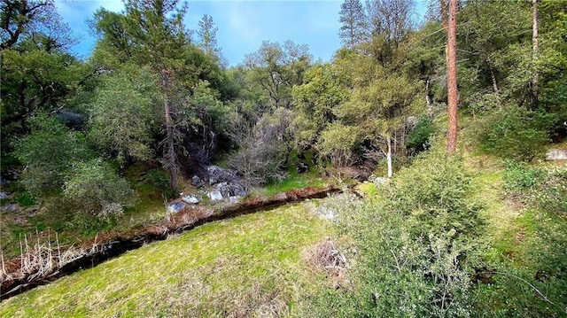 50748 Pineview Ct, Oakhurst, CA 93644 - photo 23