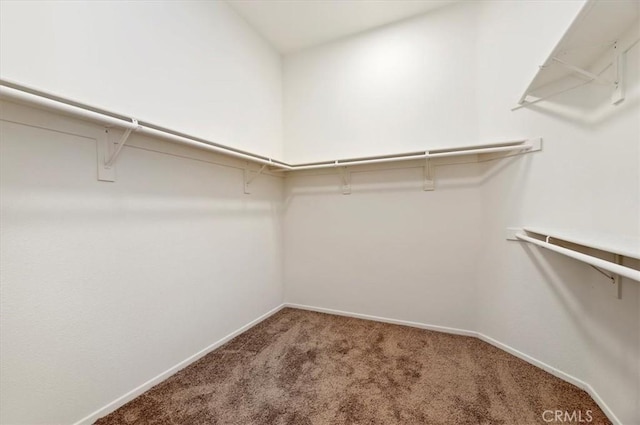 41973 Niblick Rd, Temecula, CA 92591 - photo 26