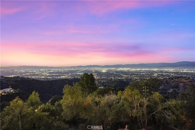 13320 Mulholland Dr, Beverly Hills, CA 90210 - photo 64