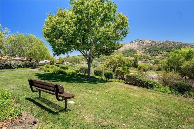 4914 Dulin Rd, Fallbrook, CA 92028 - photo 31