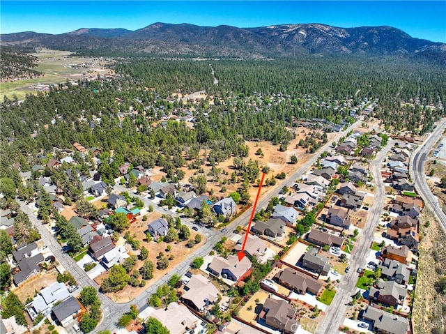 273 Pine Ln, Big Bear City, CA 92314 - photo 39