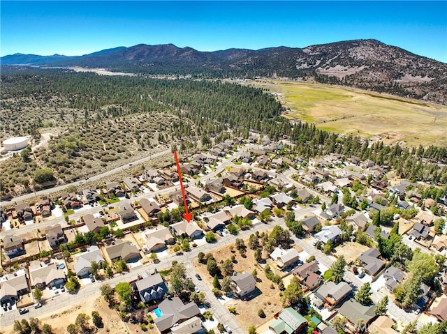 273 Pine Ln, Big Bear City, CA 92314 - photo 36