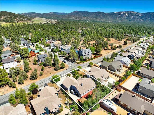 273 Pine Ln, Big Bear City, CA 92314 - photo 34
