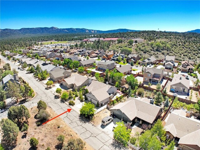 273 Pine Ln, Big Bear City, CA 92314 - photo 33