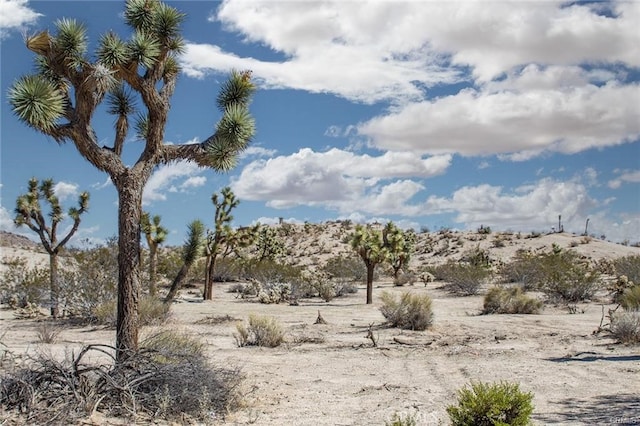 1 Avalon Ave, Yucca Valley, CA 92284 - photo 6