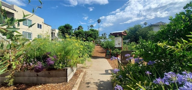 1018 Magnolia St Unit A, South Pasadena, CA 91030 - photo 28