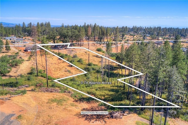 8797 Skyway, Paradise, CA 95969 - photo 6