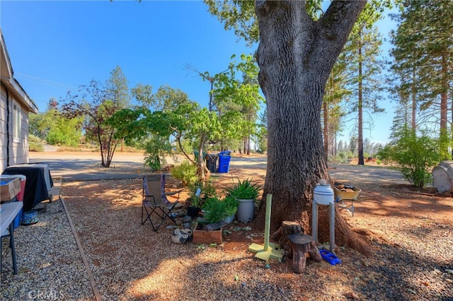 8797 Skyway, Paradise, CA 95969 - photo 7