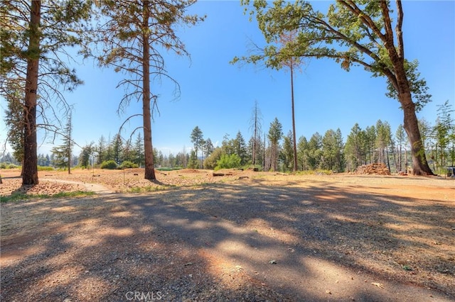 8797 Skyway, Paradise, CA 95969 - photo 8
