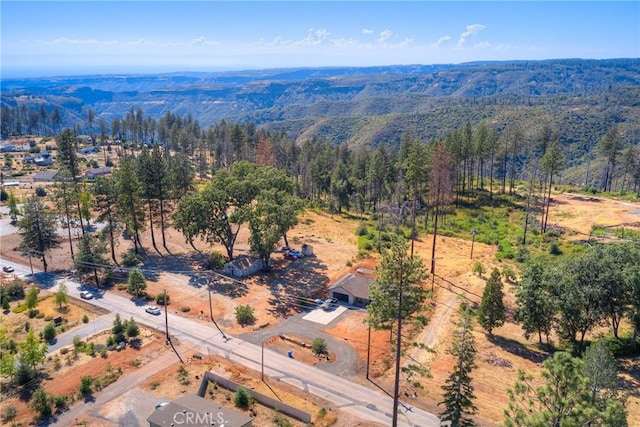 8797 Skyway, Paradise, CA 95969 - photo 18