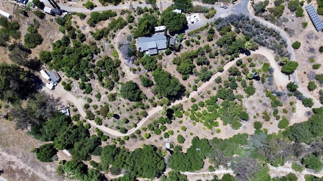 39182 Daily Rd, Fallbrook, CA 92028 - photo 47