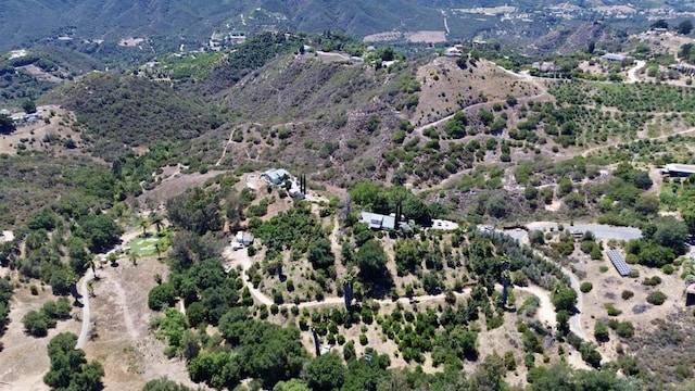 39182 Daily Rd, Fallbrook, CA 92028 - photo 50