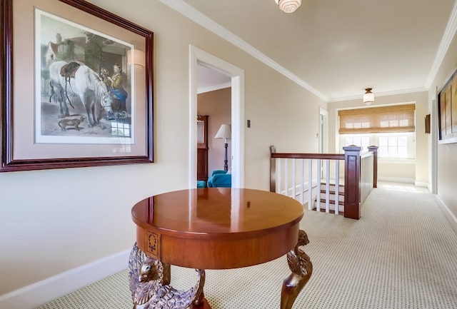 1239 S Patton Ave, San Pedro, CA 90731 - photo 31