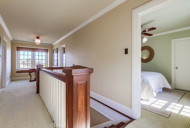 1239 S Patton Ave, San Pedro, CA 90731 - photo 28