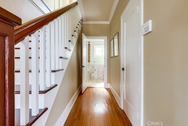 1239 S Patton Ave, San Pedro, CA 90731 - photo 22