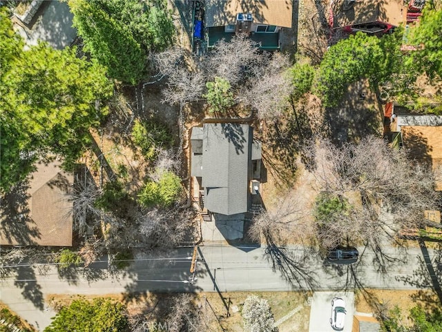 32799 Badger, Running Springs, CA 92382 - photo 3