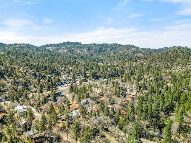 32799 Badger, Running Springs, CA 92382 - photo 27