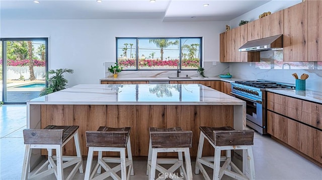 72930 Willow St, Palm Desert, CA 92260 - photo 13