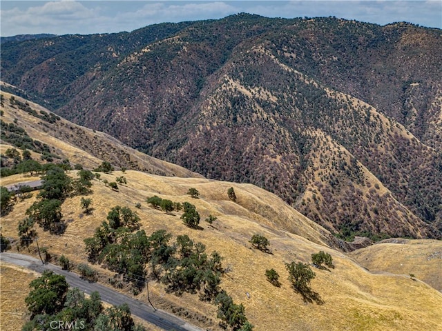 29201 Deertrail Dr, Tehachapi, CA 93561 - photo 5