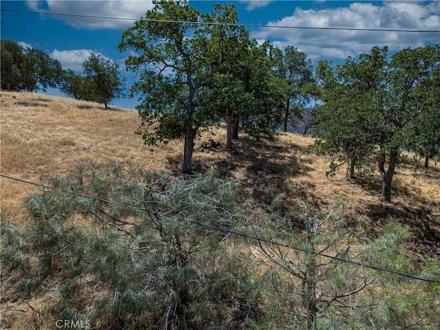 29201 Deertrail Dr, Tehachapi, CA 93561 - photo 16