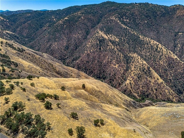 29201 Deertrail Dr, Tehachapi, CA 93561 - photo 15