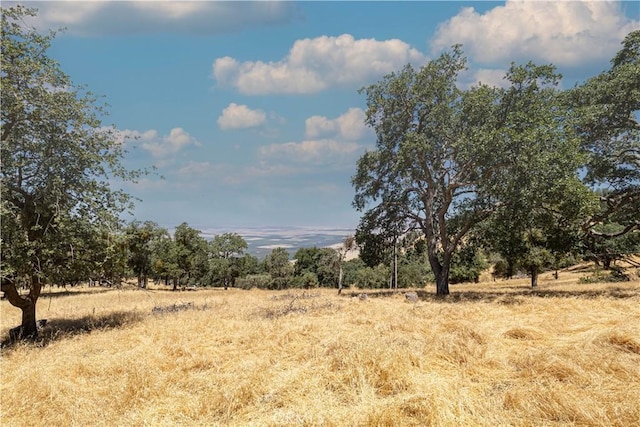29201 Deertrail Dr, Tehachapi, CA 93561 - photo 4