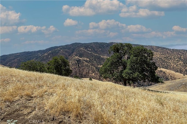29201 Deertrail Dr, Tehachapi, CA 93561 - photo 12