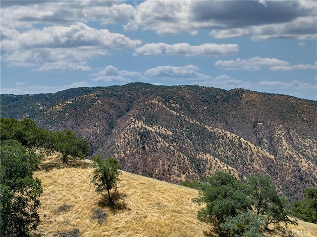 29201 Deertrail Dr, Tehachapi, CA 93561 - photo 11