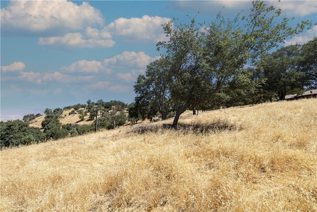 29201 Deertrail Dr, Tehachapi, CA 93561 - photo 3