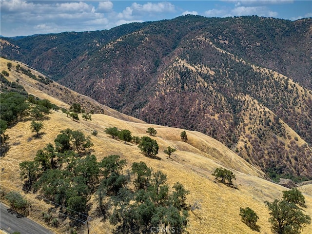 29201 Deertrail Dr, Tehachapi, CA 93561 - photo 13