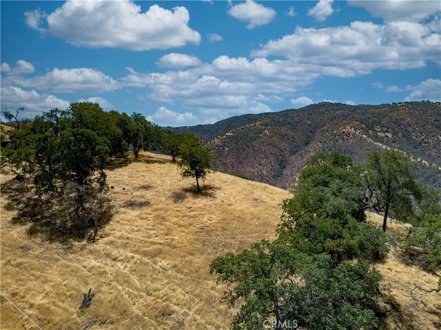 29201 Deertrail Dr, Tehachapi, CA 93561 - photo 1