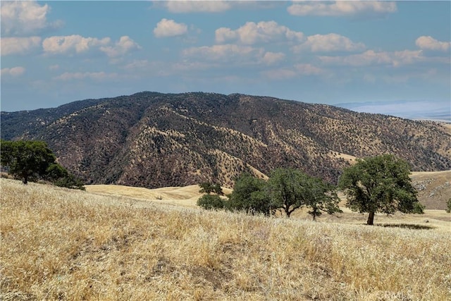 29201 Deertrail Dr, Tehachapi, CA 93561 - photo 2