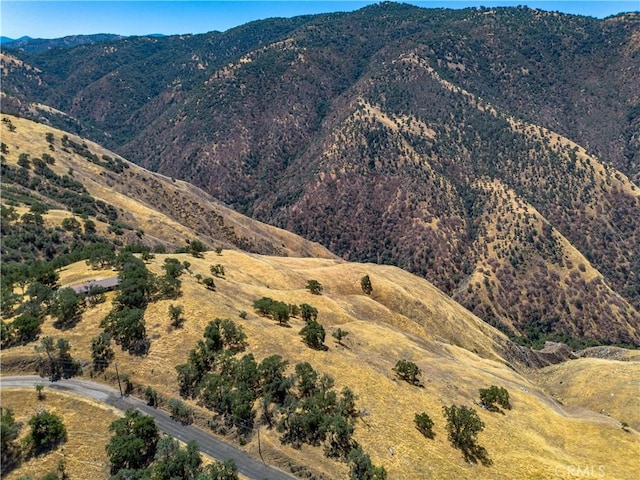 29201 Deertrail Dr, Tehachapi, CA 93561 - photo 14