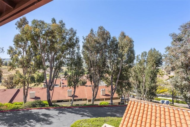 32036 Del Cielo Oeste Unit 3B, Bonsall, CA 92003 - photo 37