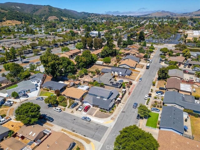 1731 Pico Ct, San Luis Obispo, CA 93405 - photo 17