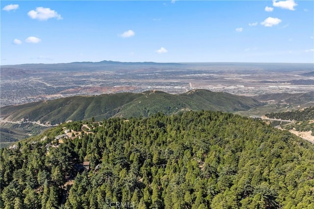 1127 Jupiter Way, Crestline, CA 92325 - photo 32