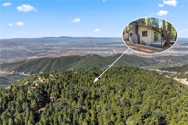 1127 Jupiter Way, Crestline, CA 92325 - photo 30