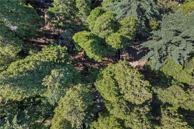 1127 Jupiter Way, Crestline, CA 92325 - photo 31