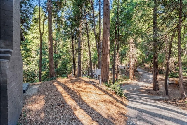 1127 Jupiter Way, Crestline, CA 92325 - photo 24