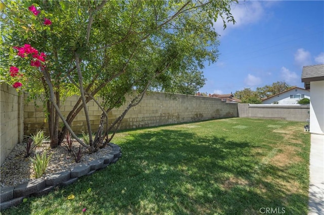 12202 Silva Pl, Cerritos, CA 90703 - photo 10
