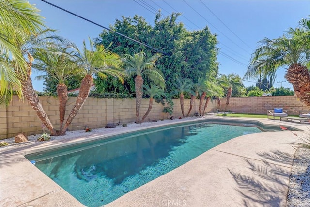 11428 Snowdrop Ave, Fountain Valley, CA 92708 - photo 58
