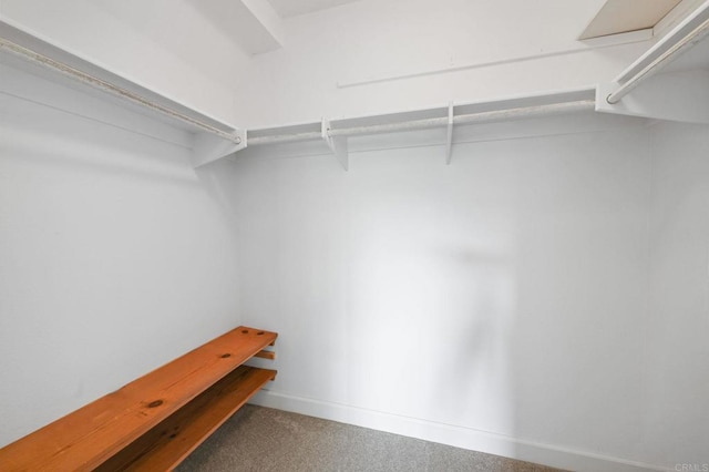 7727 Caminito Monarca Unit 102, Carlsbad, CA 92009 - photo 19