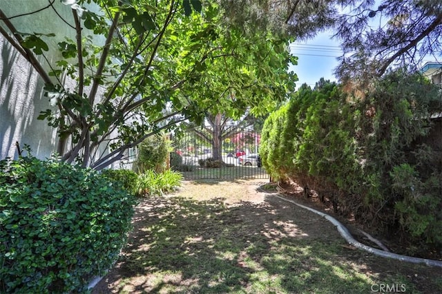 551 E Juanita Ave, San Dimas, CA 91773 - photo 28