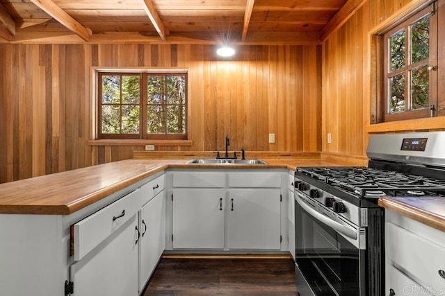 22058 Crestline Rd, Palomar Mountain, CA 92060 - photo 8